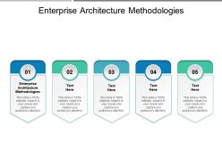 Enterprise architecture methodologies ppt powerpoint presentation outline icons cpb