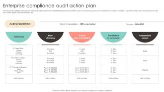 Enterprise Compliance Audit Action Plan