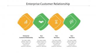 Enterprise customer relationship ppt powerpoint presentation professional deck cpb