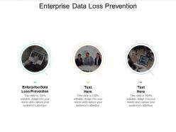 Enterprise data loss prevention ppt powerpoint presentation portfolio tips cpb