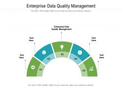 Enterprise data quality management ppt powerpoint presentation show icons cpb