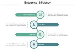 Enterprise efficiency ppt powerpoint presentation icon background images cpb