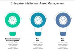 Enterprise intellectual asset management ppt powerpoint presentation icon layout ideas cpb