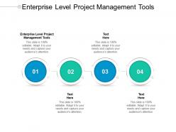 Enterprise level project management tools ppt powerpoint presentation infographic cpb