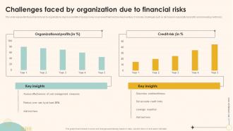 Enterprise Management Mitigation Plan Challenges Faced By Organization Due To Financial Risks