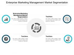 Enterprise marketing management market segmentation ppt powerpoint presentation show graphics design cpb
