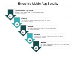 Enterprise mobile app security ppt powerpoint presentation pictures tips cpb