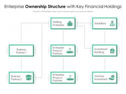 Enterprise ownership structure with key financial holdings