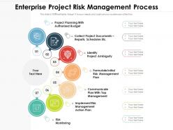 Enterprise Project Risk Management Process