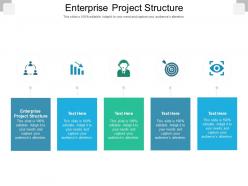 Enterprise project structure ppt powerpoint presentation model vector cpb