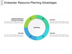 Enterprise resource planning advantage ppt powerpoint presentation styles graphics template cpb