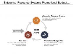 Enterprise resource systems promotional budget plan databases marketing
