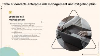 Enterprise Risk Management And Mitigation Plan Table Of Contents