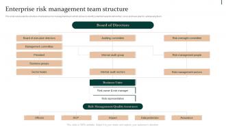 Enterprise Risk Management Team Structure Enterprise Risk Mitigation Strategies