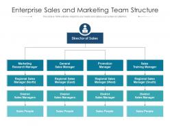 Enterprise sales and marketing team structure