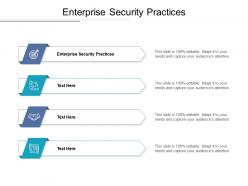 Enterprise security practices ppt powerpoint presentation model format cpb