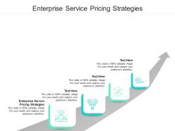 Enterprise service pricing strategies ppt powerpoint presentation professional files cpb