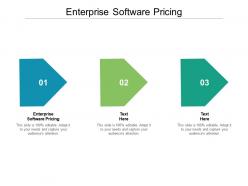Enterprise software pricing ppt powerpoint presentation file rules cpb