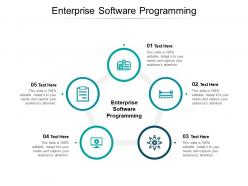 Enterprise software programming ppt powerpoint presentation pictures example file cpb