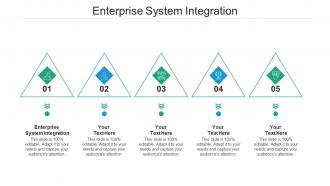 Enterprise system integration ppt powerpoint presentation show styles cpb