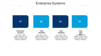 Enterprise systems ppt powerpoint presentation styles elements cpb