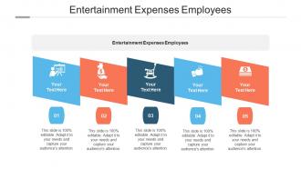 Entertainment Expenses Employees Ppt Powerpoint Presentation Summary Files Cpb