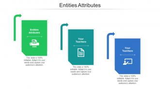 Entities attributes ppt powerpoint presentation pictures background cpb