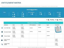Entitlement matrix ppt powerpoint presentation styles sample