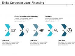 Entity corporate level financing ppt powerpoint presentation gallery sample cpb