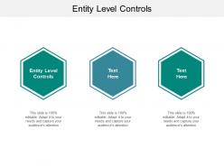 Entity level controls ppt powerpoint presentation pictures templates cpb