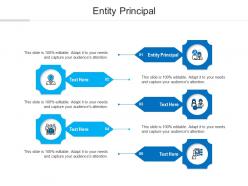 Entity principal ppt powerpoint presentation summary templates cpb