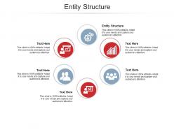 Entity structure ppt powerpoint presentation gallery structure cpb