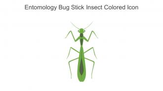 Entomology Bug Stick Insect Colored Icon In Powerpoint Pptx Png And Editable Eps Format