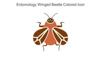 Entomology Winged Beetle Colored Icon In Powerpoint Pptx Png And Editable Eps Format