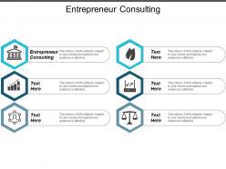 Entrepreneur consulting ppt powerpoint presentation layouts infographics cpb