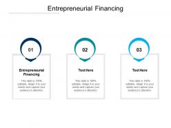 Entrepreneurial financing ppt powerpoint presentation layouts guidelines cpb