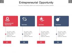 Entrepreneurial opportunity ppt powerpoint presentation show visual aids cpb