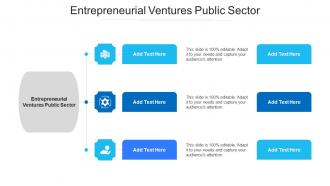 Entrepreneurial Ventures Public Sector Ppt Powerpoint Presentation Icon Format Cpb