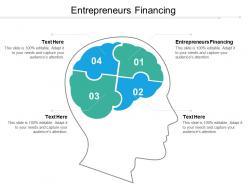 entrepreneurs_financing_ppt_powerpoint_presentation_gallery_example_topics_cpb_Slide01
