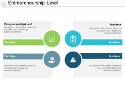 Entrepreneurship level ppt powerpoint presentation pictures show cpb