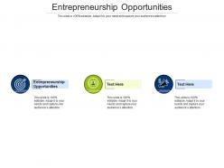 Entrepreneurship opportunities ppt powerpoint presentation visual aids example file cpb