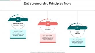 Entrepreneurship Principles Tools In Powerpoint And Google Slides Cpb
