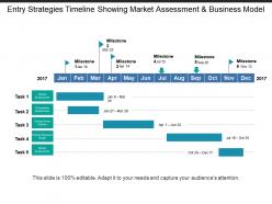 Entry strategies timeline showing market assessment and business model