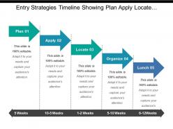 Entry strategies timeline showing plan apply locate organize and launch