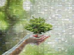 Environment Photo Mosaic Collage Saving Trees Ppt Example