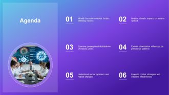 Environmental Factors Influencing Malaria PPT Demonstration AT Attractive Designed