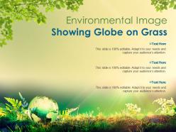 Environmental image showing globe on grass
