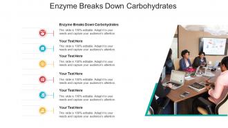 Enzyme breaks down carbohydrates ppt powerpoint presentation icon cpb
