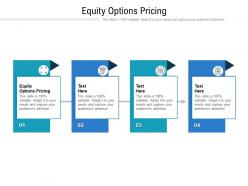 Equity options pricing ppt powerpoint presentation summary slide cpb