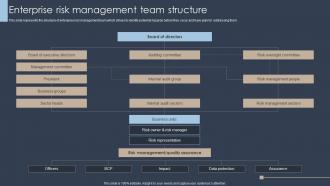 Erm Program Enterprise Risk Management Team Structure Ppt Show Example